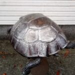IMG_20211114_134120
