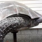 IMG_20211114_134129